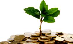 Social Responsible Investing